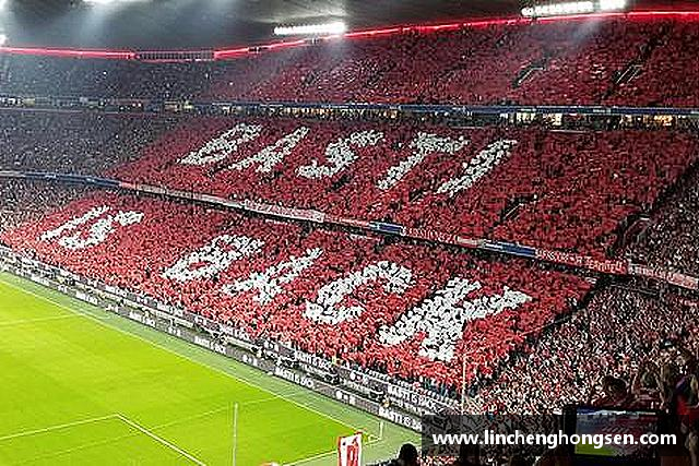 了解bevictor伟德